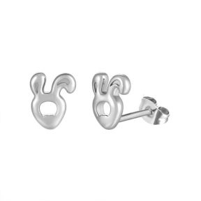 Stainless Steel Earrings  6E2005920vvhj-691  PE285