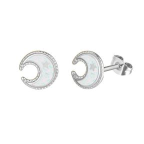 Stainless Steel Earrings  6E2005938vvij-691  PE301W