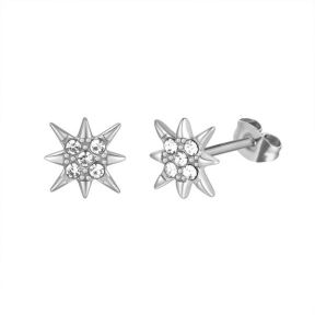 Stainless Steel Earrings  6E2005976vvih-691  PE315W