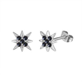 Stainless Steel Earrings  6E2005982vvih-691  PE315K