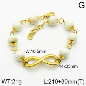 Stainless Steel Bracelet  2B4001673vbpb-685