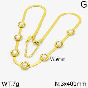 Stainless Steel Necklace  2N3000698abol-436