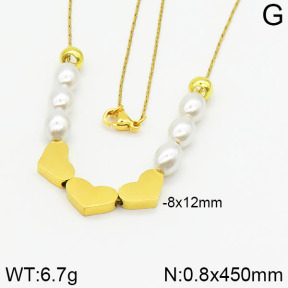 Stainless Steel Necklace  2N3000719vbnl-704