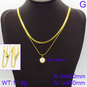 Stainless Steel Necklace  2N4001015bhva-436