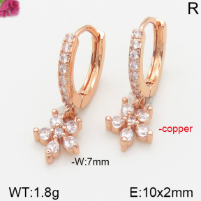 Fashion Copper Earrings  F5E400857vbpb-J147