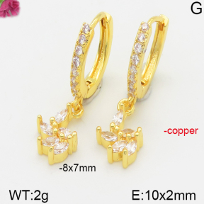 Fashion Copper Earrings  F5E400865vbpb-J147