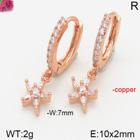 Fashion Copper Earrings  F5E400878vbpb-J147