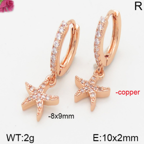 Fashion Copper Earrings  F5E400881vbpb-J147