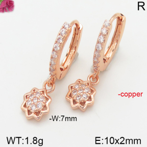 Fashion Copper Earrings  F5E400890vbpb-J147