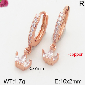 Fashion Copper Earrings  F5E400896vbpb-J147