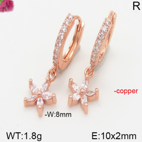 Fashion Copper Earrings  F5E400899vbpb-J147