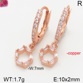 Fashion Copper Earrings  F5E400902vbpb-J147