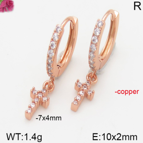 Fashion Copper Earrings  F5E400926vbpb-J147