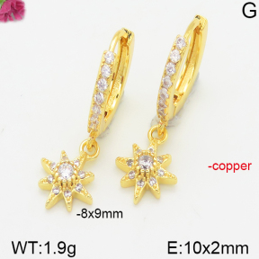 Fashion Copper Earrings  F5E400928vbpb-J147