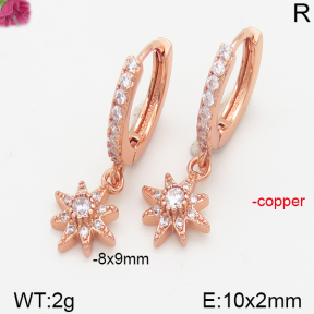 Fashion Copper Earrings  F5E400929vbpb-J147