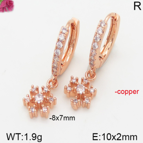 Fashion Copper Earrings  F5E400950vbpb-J147