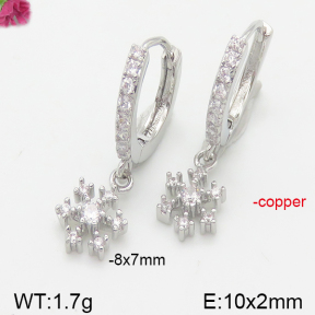 Fashion Copper Earrings  F5E400951vbpb-J147