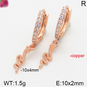Fashion Copper Earrings  F5E400962vbpb-J147