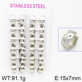 Stainless Steel Earrings  2E2001051akoa-387