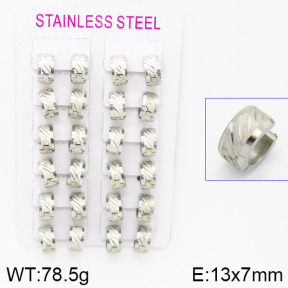 Stainless Steel Earrings  2E2001052akoa-387