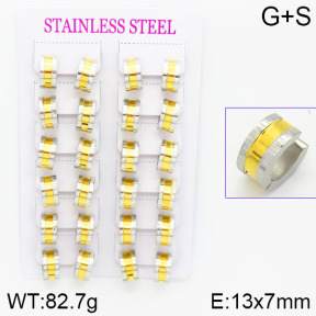 Stainless Steel Earrings  2E2001053alka-387