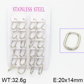 Stainless Steel Earrings  2E2001055akoa-387
