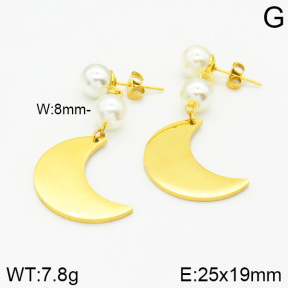 Stainless Steel Earrings  2E3000750vbnl-628