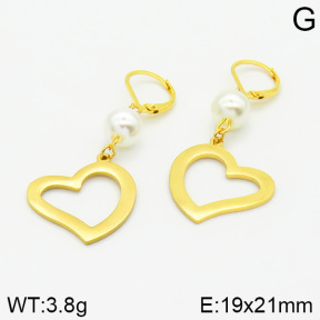 Stainless Steel Earrings  2E3000752vbnb-628