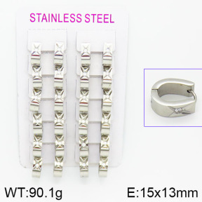 Stainless Steel Earrings  2E4001430alka-387