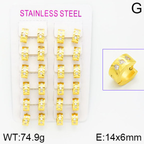 Stainless Steel Earrings  2E4001431bnib-387