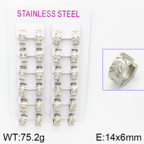 Stainless Steel Earrings  2E4001432amaa-387
