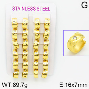 Stainless Steel Earrings  2E4001433amaa-387