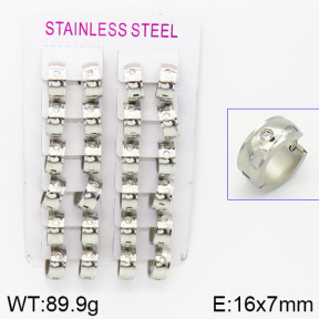 Stainless Steel Earrings  2E4001434alka-387