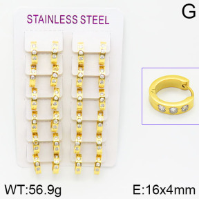 Stainless Steel Earrings  2E4001435bnib-387