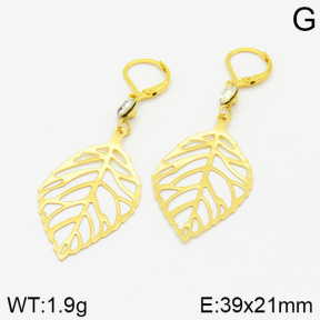 Stainless Steel Earrings  2E4001436vbnl-628