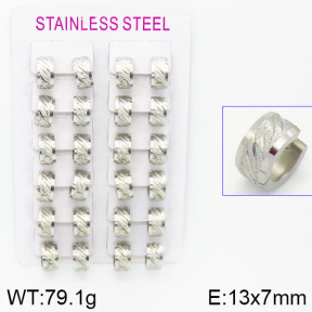 Stainless Steel Earrings  2E5000032akoa-387