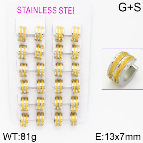 Stainless Steel Earrings  2E5000033alka-387