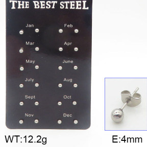 Stainless Steel Earrings  5E2001416bhva-256