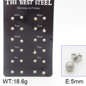 Stainless Steel Earrings  5E2001421bhia-256