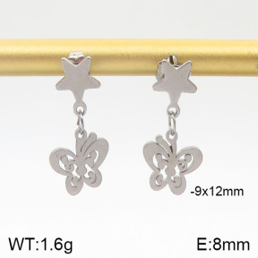 Stainless Steel Earrings  5E2001429aakl-706