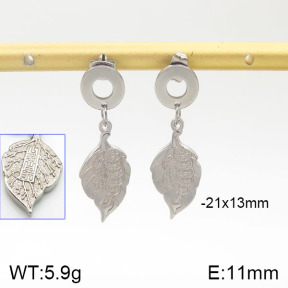 Stainless Steel Earrings  5E2001447ablb-706