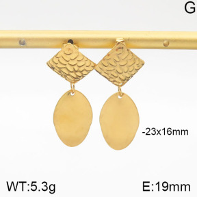 Stainless Steel Earrings  5E2001456vbmb-706