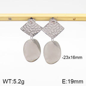 Stainless Steel Earrings  5E2001457ablb-706