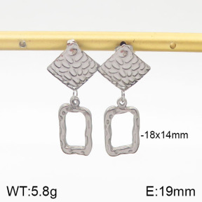 Stainless Steel Earrings  5E2001459vbmb-706
