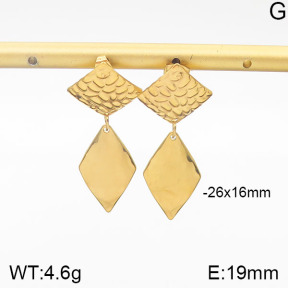 Stainless Steel Earrings  5E2001462vbmb-706