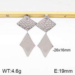 Stainless Steel Earrings  5E2001463ablb-706