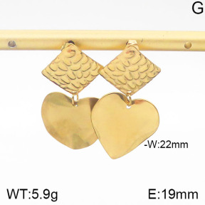 Stainless Steel Earrings  5E2001464vbmb-706