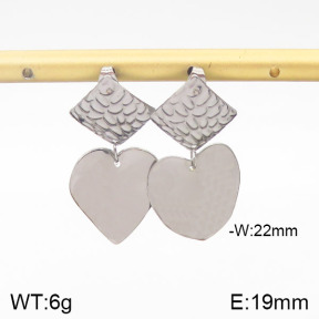 Stainless Steel Earrings  5E2001465ablb-706