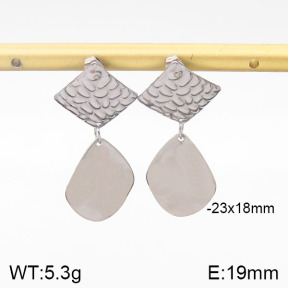 Stainless Steel Earrings  5E2001467ablb-706