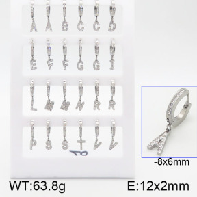 Stainless Steel Earrings  5E4001153amla-649